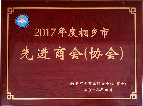 2017年度桐乡市先进商会