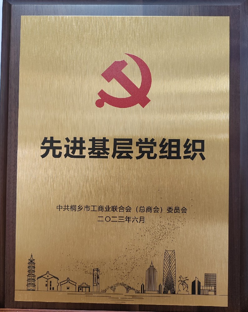 2022年被评为先进基层党组织