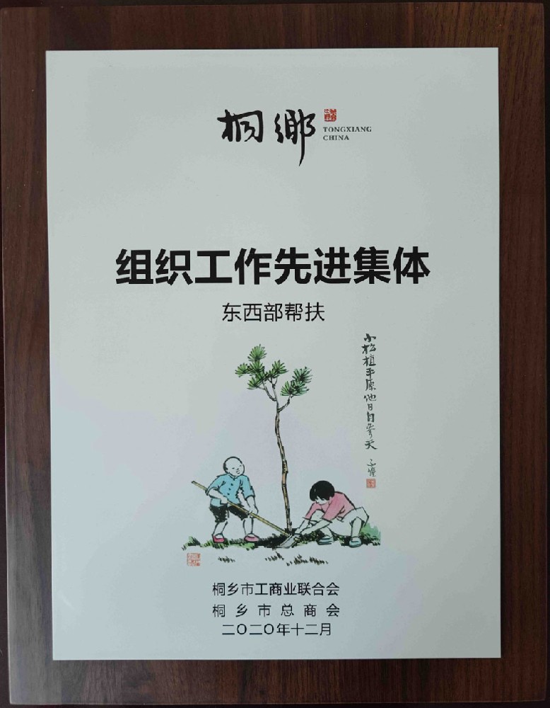 2019年被桐乡评为组织工作先进集体